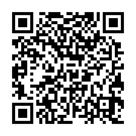 QR code for IDG333