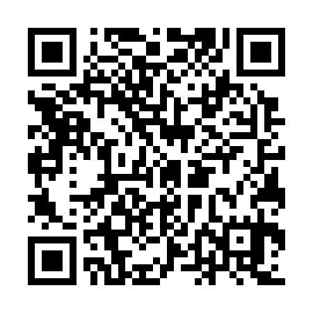 QR code for IDG335