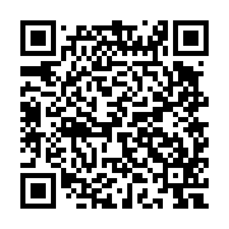 QR code for IDG497
