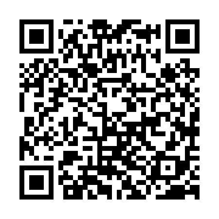 QR code for IDH218