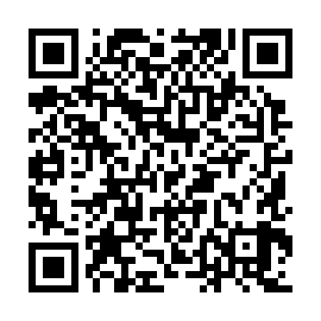 QR code for IDI389