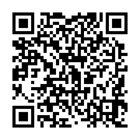 QR code for IDI393