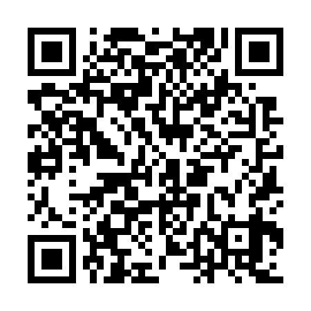 QR code for IDK739