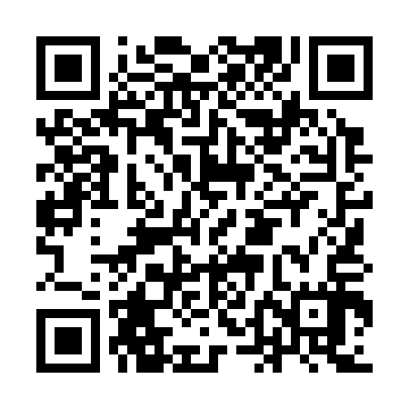 QR code for IDL317