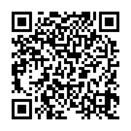 QR code for IDL339