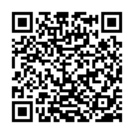 QR code for IDM318