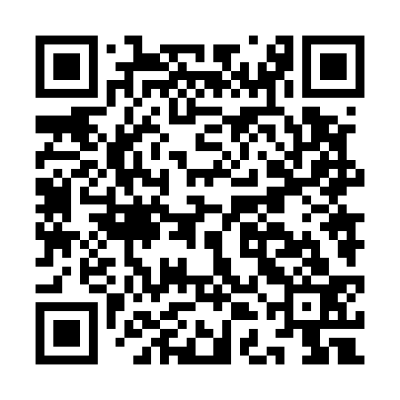 QR code for IDN533