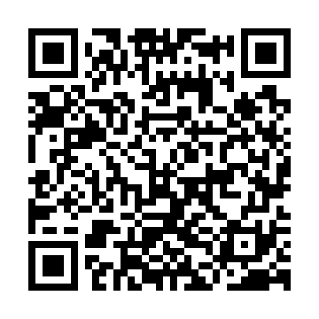 QR code for IDN771