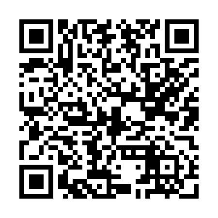 QR code for IDN951