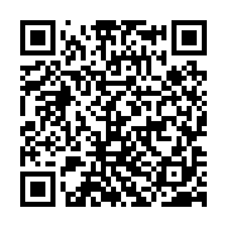 QR code for IDO290