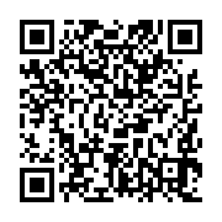 QR code for IDP493