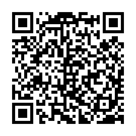 QR code for IDR491