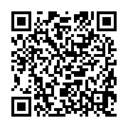 QR code for IDS990