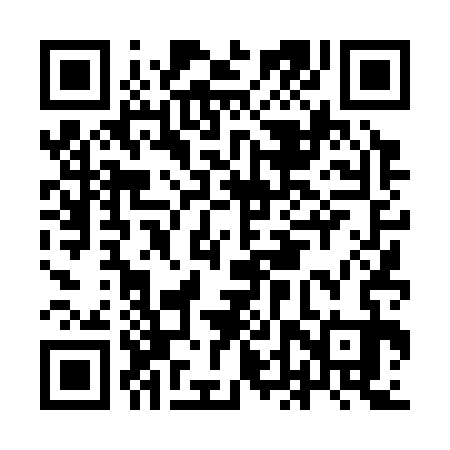 QR code for IDT333