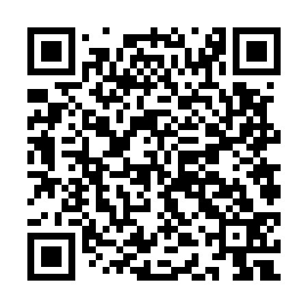 QR code for IDV533