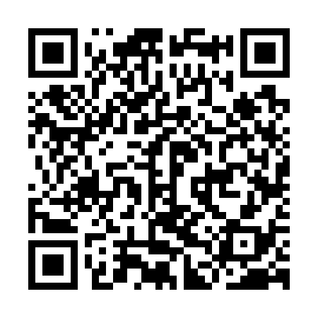 QR code for IDV738