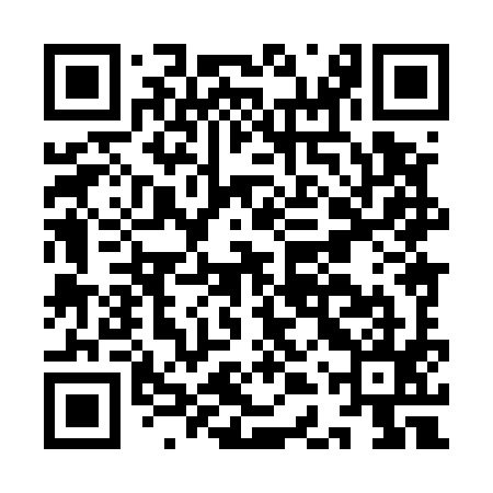 QR code for IDX595