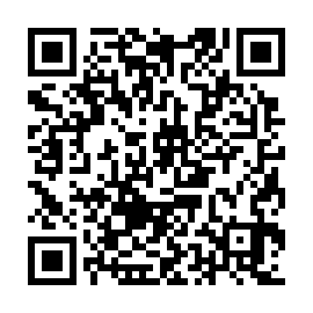 QR code for IEC333