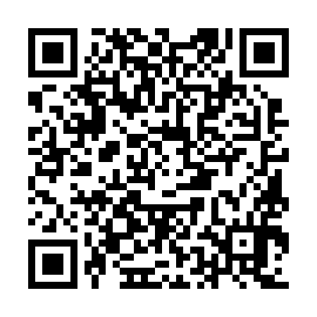 QR code for IEE294
