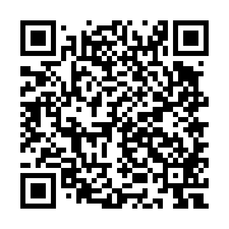 QR code for IEE489