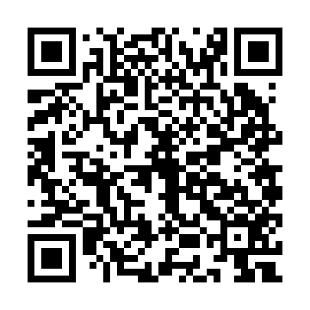 QR code for IEF256