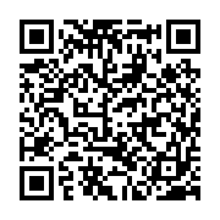 QR code for IEI213