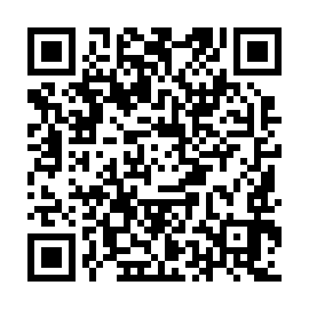 QR code for IEI293