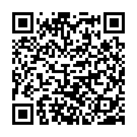 QR code for IEI339
