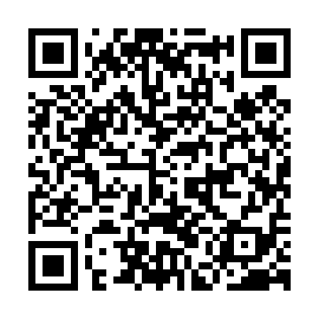 QR code for IEI419
