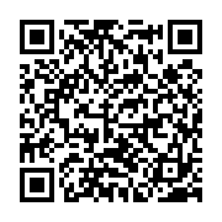 QR code for IEI533