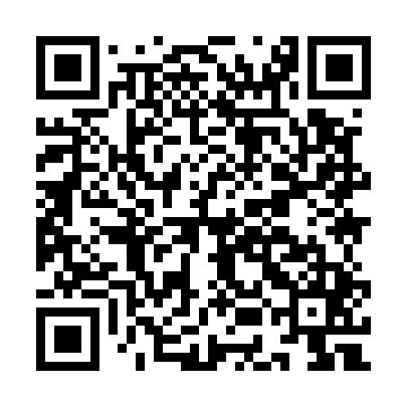 QR code for IEI545