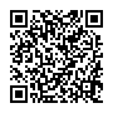 QR code for IEK294