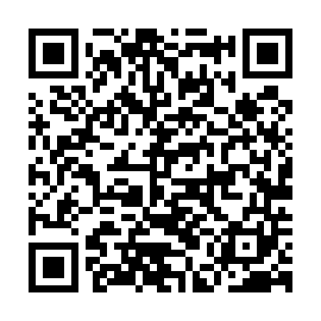 QR code for IEL541