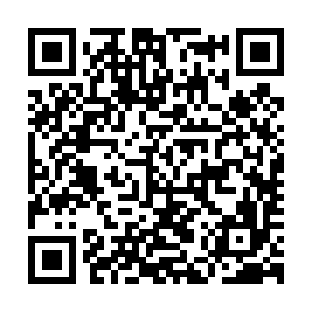 QR code for IER496
