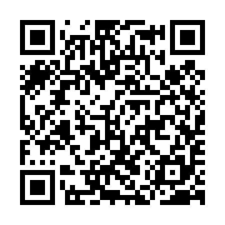 QR code for IES495