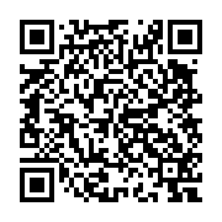 QR code for IFB413