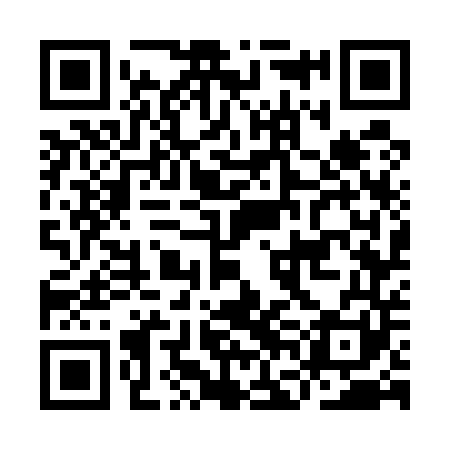 QR code for IFG541