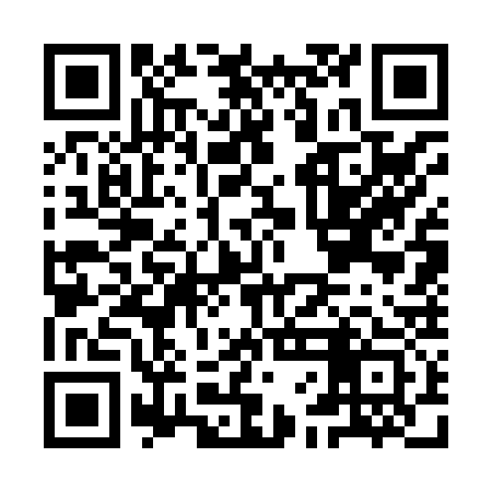 QR code for IFG833