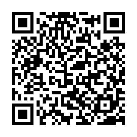 QR code for IFM295