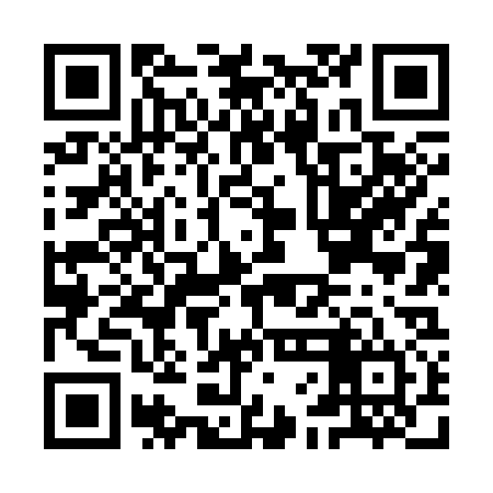 QR code for IFN334