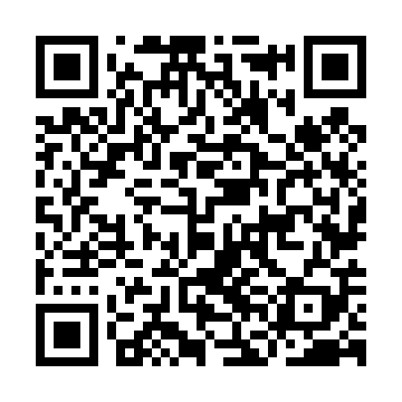 QR code for IFN409