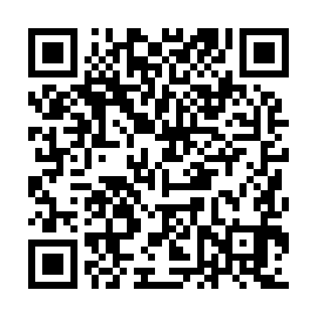 QR code for IFP991