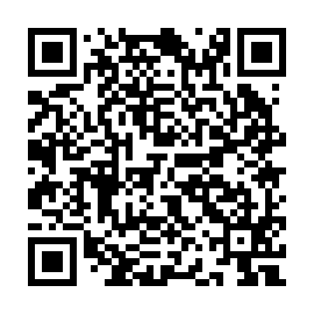 QR code for IFQ295