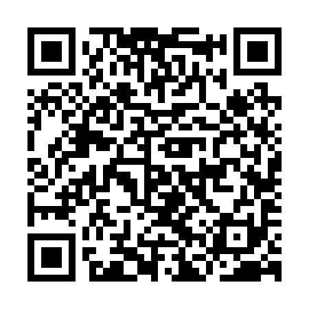 QR code for IFV291
