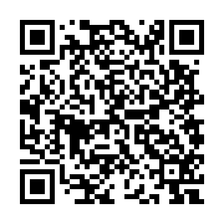 QR code for IFV516