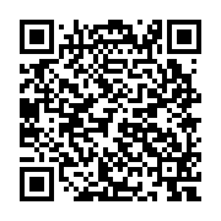 QR code for IGA393