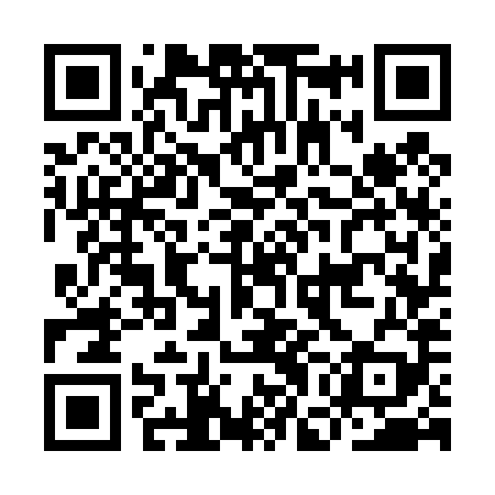 QR code for IGG489