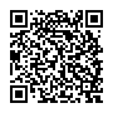 QR code for IGN382