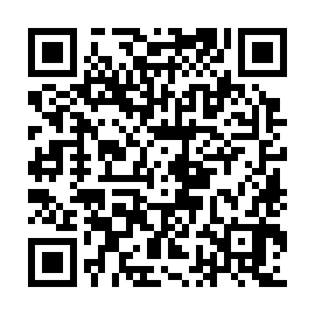 QR code for IGO382