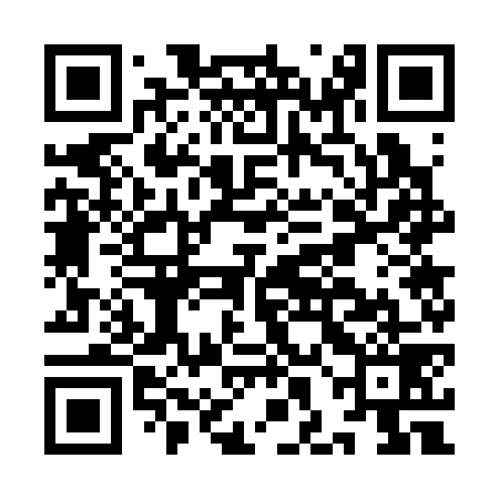 QR code for IHG379